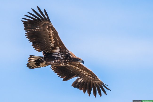 Путешествие по зимней Чечне 2015