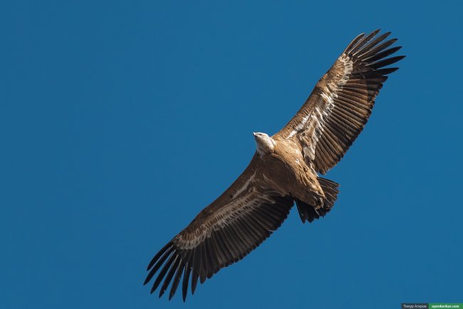 Путешествие по зимней Чечне 2015