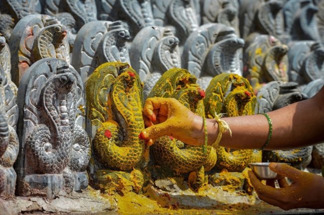 Праздник почитания змей Nag Panchami 2017