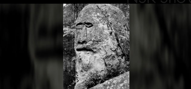 Удивительные находки в Сибири