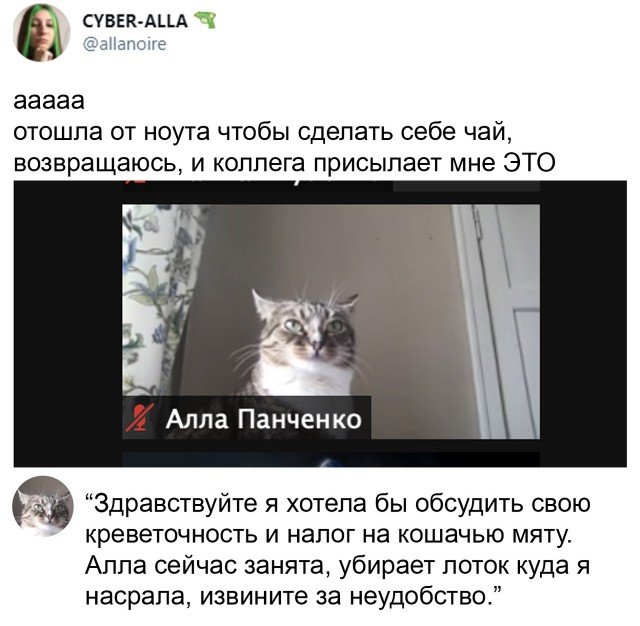 Кретинизмы из сети