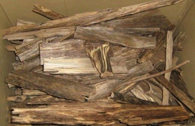 Кинам – самая редкая и дорогая древесина в мире