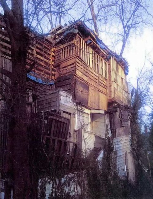Прикольные смешные картинки и фото - 417