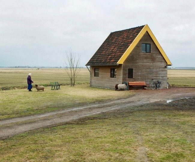 Маленькие домики среди дикой природы
