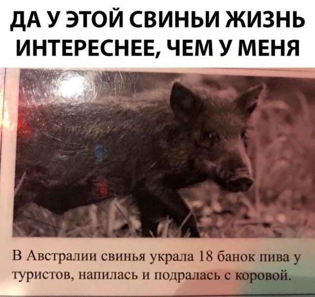 Странный и нестандартный юмор