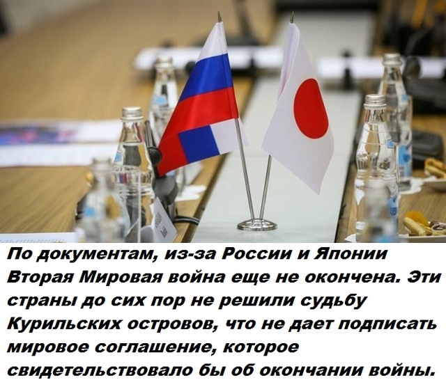 Бесполезные факты обо всем на свете