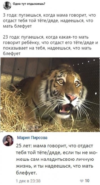 Забавные картинки и юмор из социальных сетей