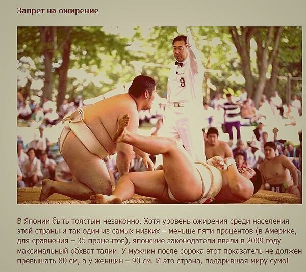 Нелепые законы