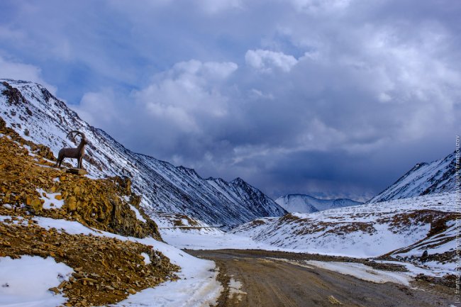Плато Арабель. Киргизия