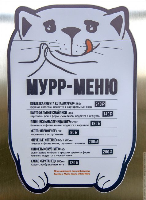 Коты в Калининграде. Нашествие
