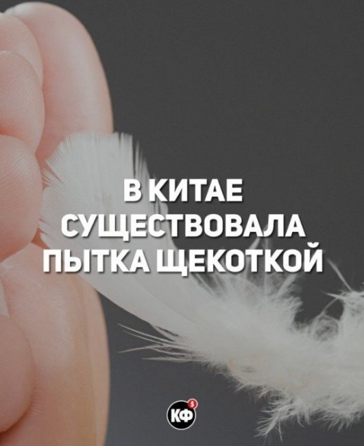 Краткие факты