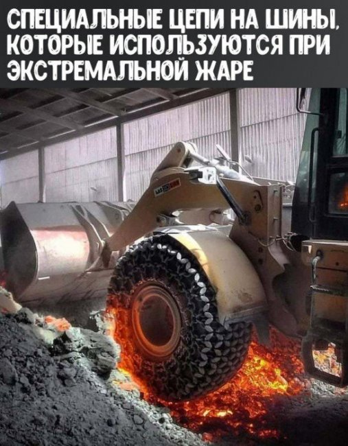 Краткие факты