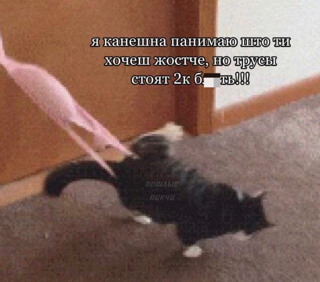 Мемы и приколы про отношения и "это" Мемы и приколы про отношения и "это"