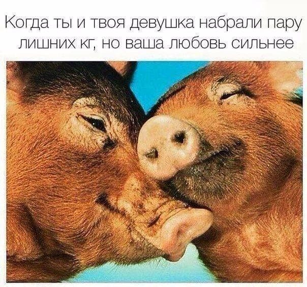 Мемы и приколы про отношения и "это" Мемы и приколы про отношения и "это"