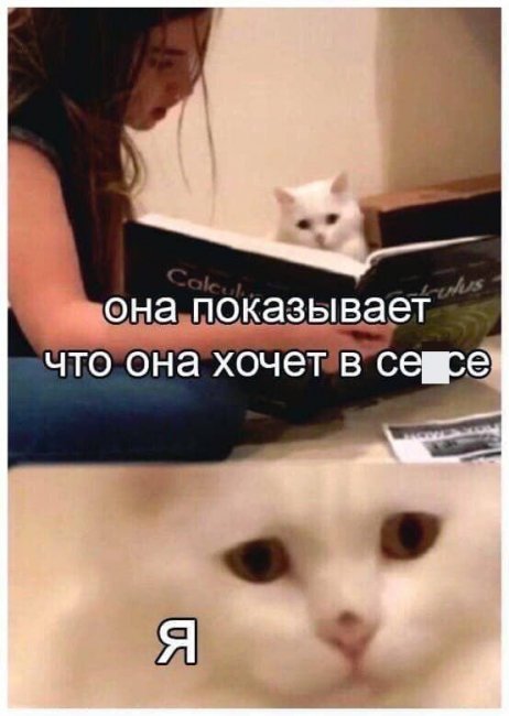 Мемы и приколы про отношения и "это"