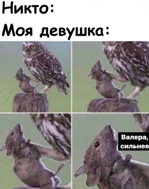 Мемы и приколы про отношения и "это"