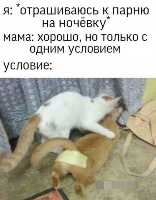 Мемы и приколы про отношения и "это"