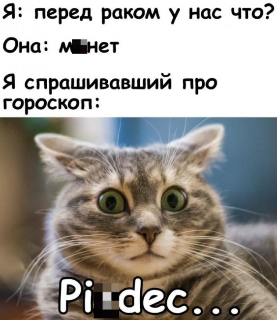 Мемы и приколы про отношения и "это"